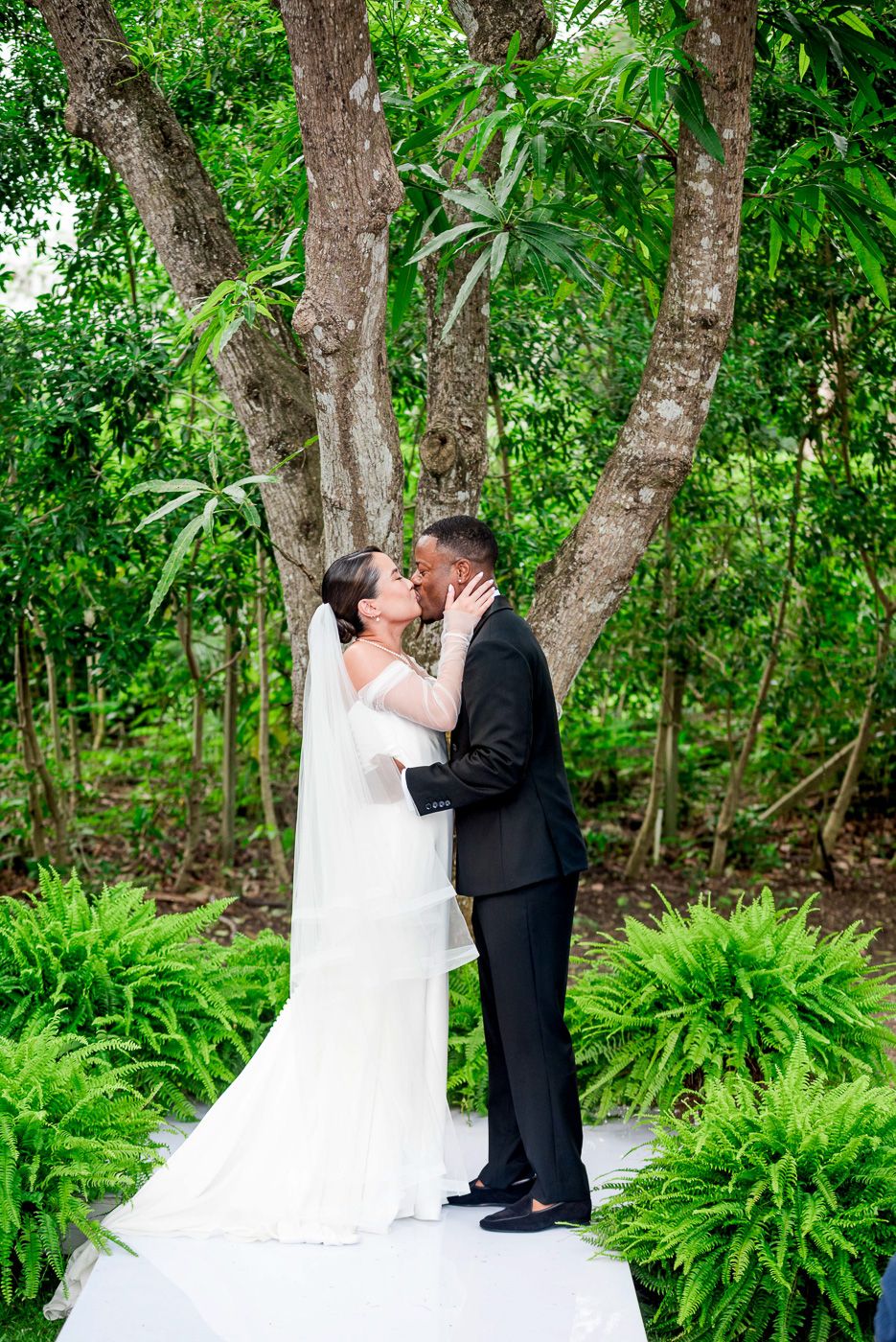 A romantic wedding moment captured under leafy green trees with ferns decorating the ground.