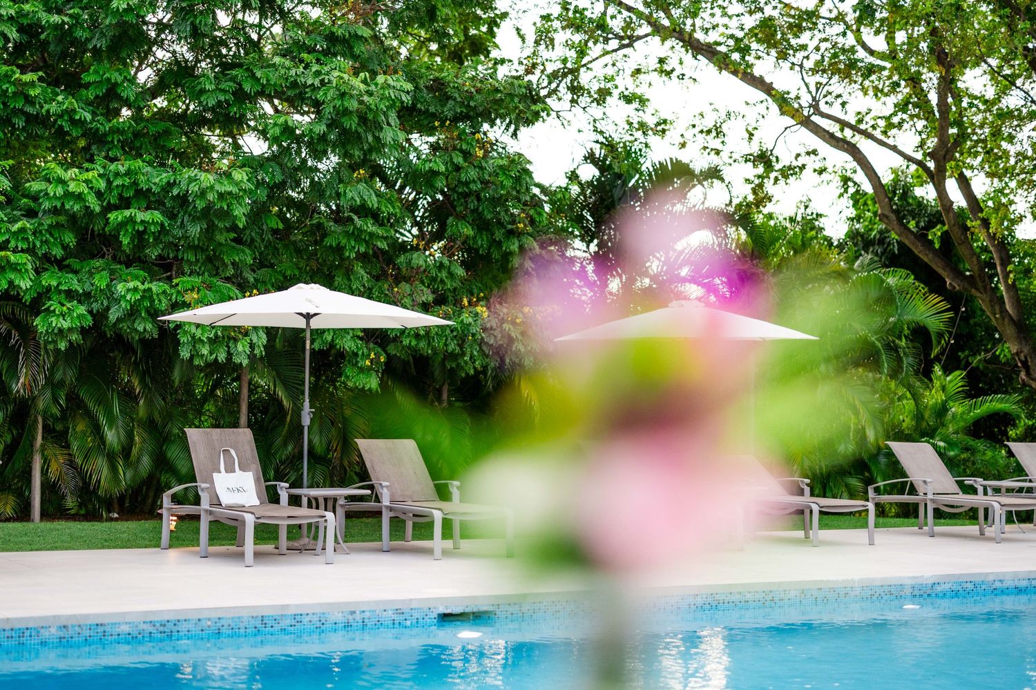 Luxury pool area with lounge chairs surrounded by lush green gardens and pink florals creating a tranquil oasis. Villa Aama in Barbados