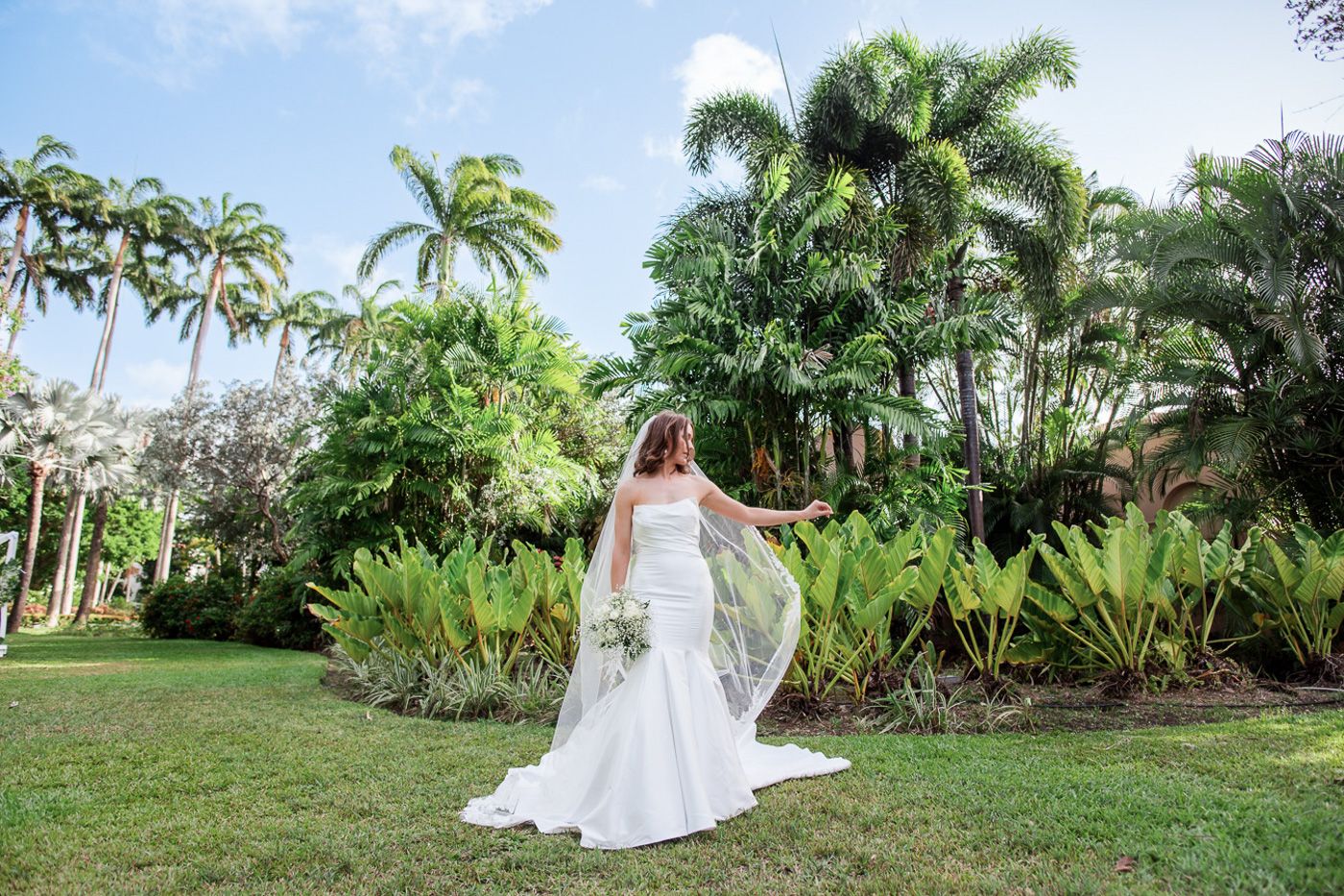 Elegant outdoor wedding venue featuring palm trees and lush tropical landscaping.