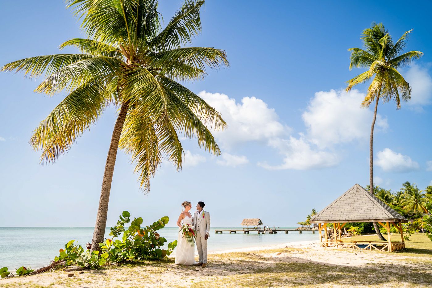 A series of tropical beach scenes with palm trees, white sand, and blue skies showing a peaceful oceanfront paradise.