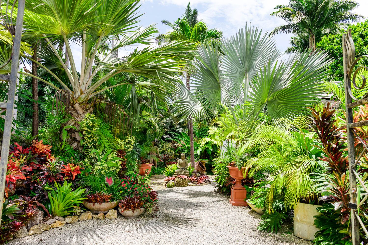 Lush tropical garden pathway lined with vibrant palm trees, ferns, and colorful flowering plants in a manicured landscape.