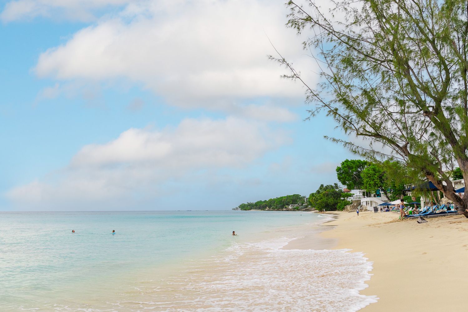 A scenic collage of tropical Barbados beach scenes with turquoise waters, white sand shorelines, and swaying palm trees.
