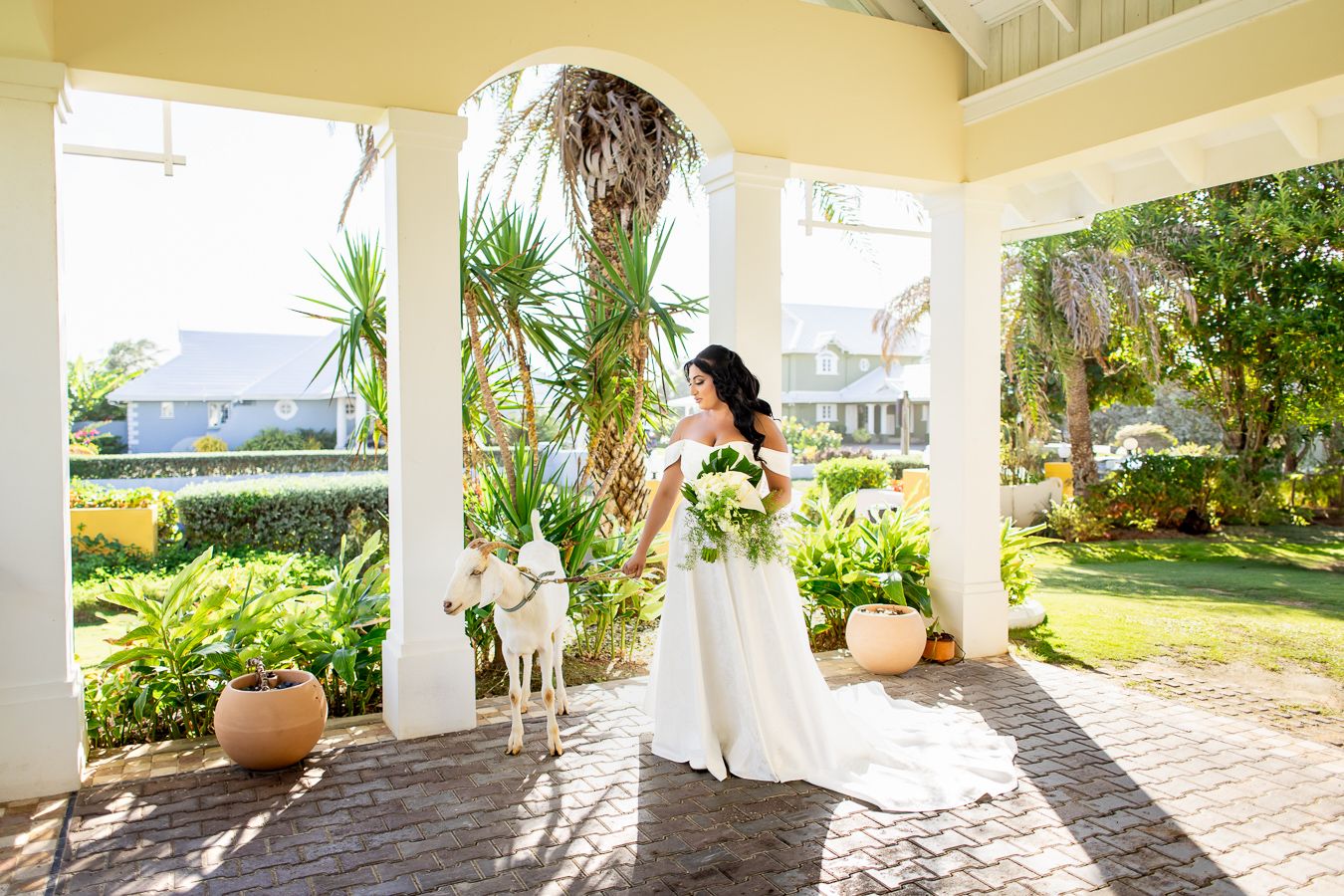 Sunny tropical veranda with white columns and palm trees visible through archways.