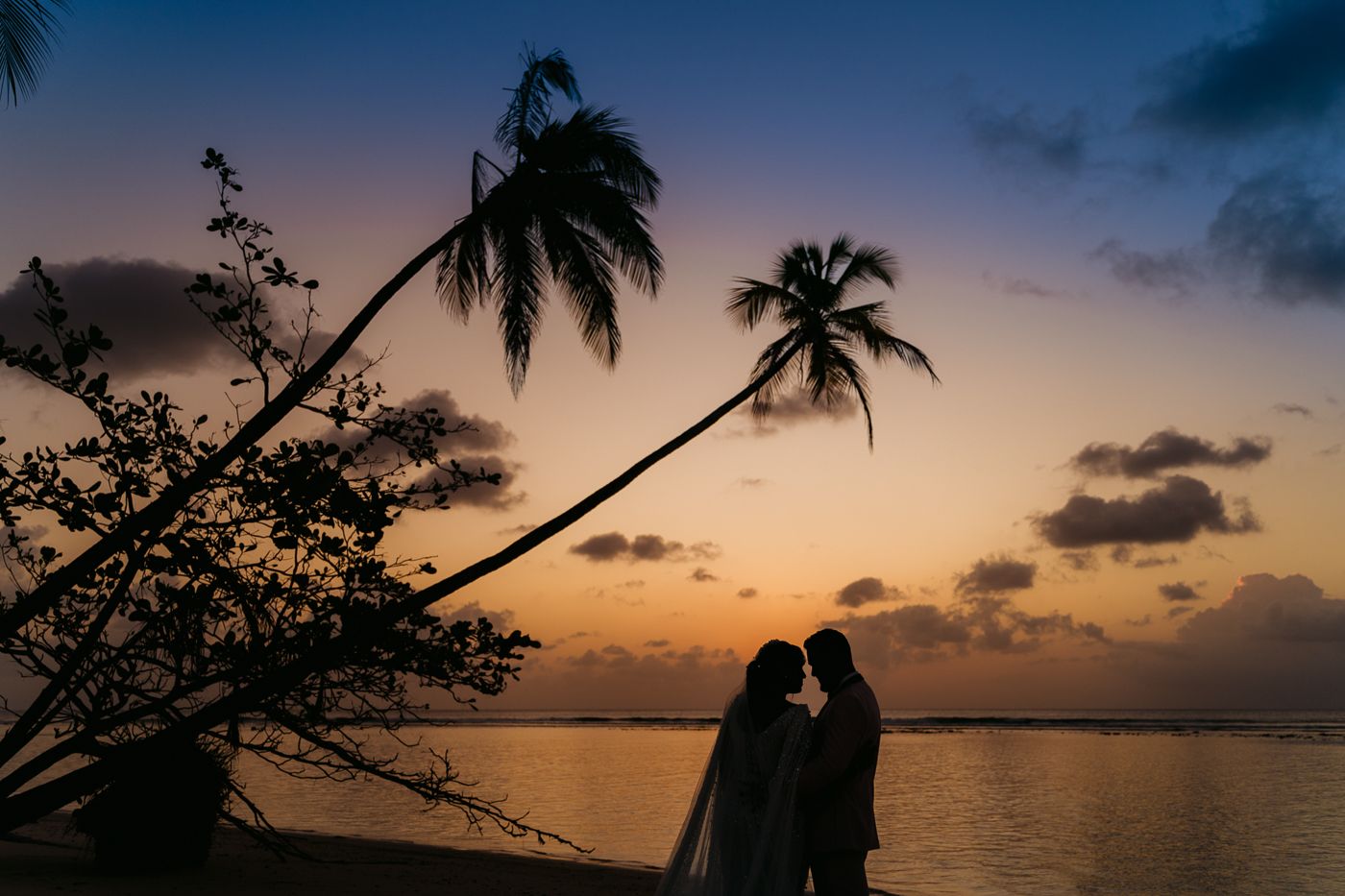 Scenic collage of tropical beach sunset scenes with palm trees and silhouettes against golden orange skies over the ocean.