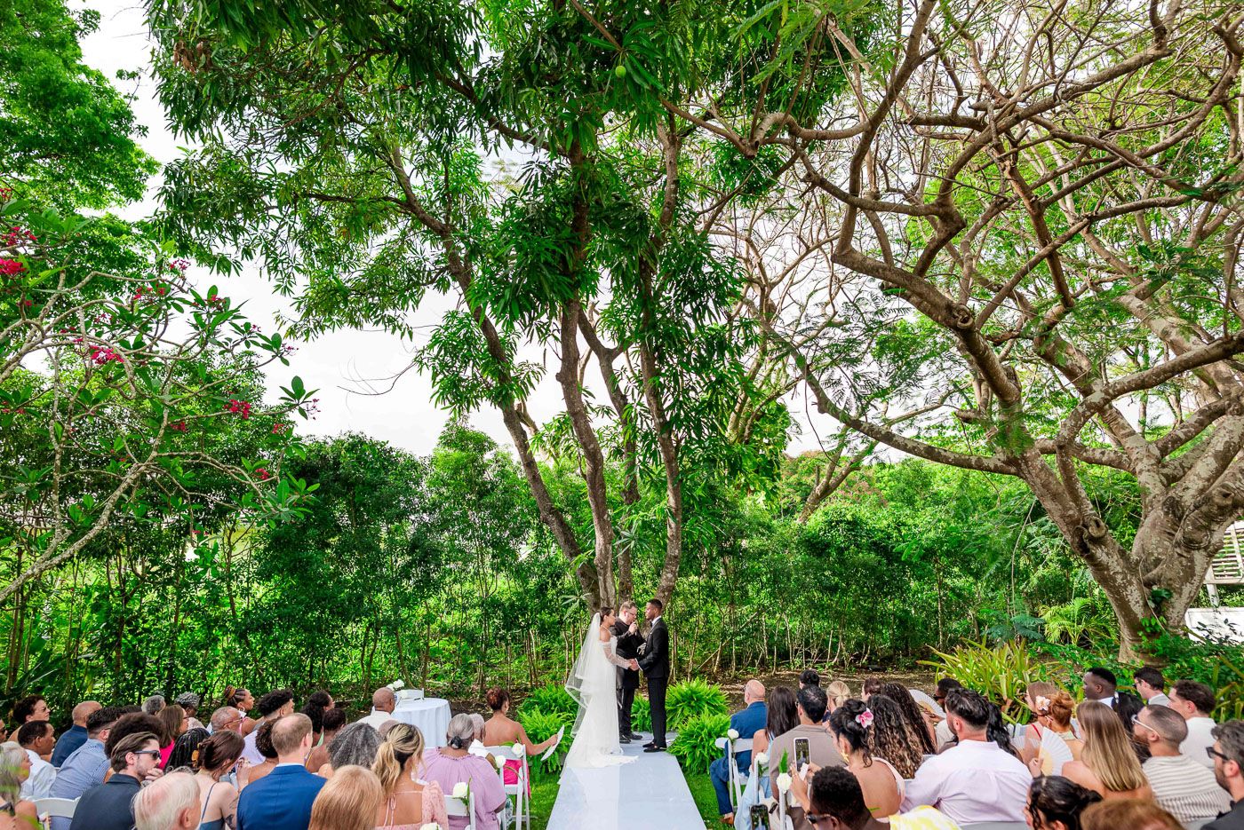 A garden wedding ceremony viewed from above showing guests seated under a canopy of green trees.