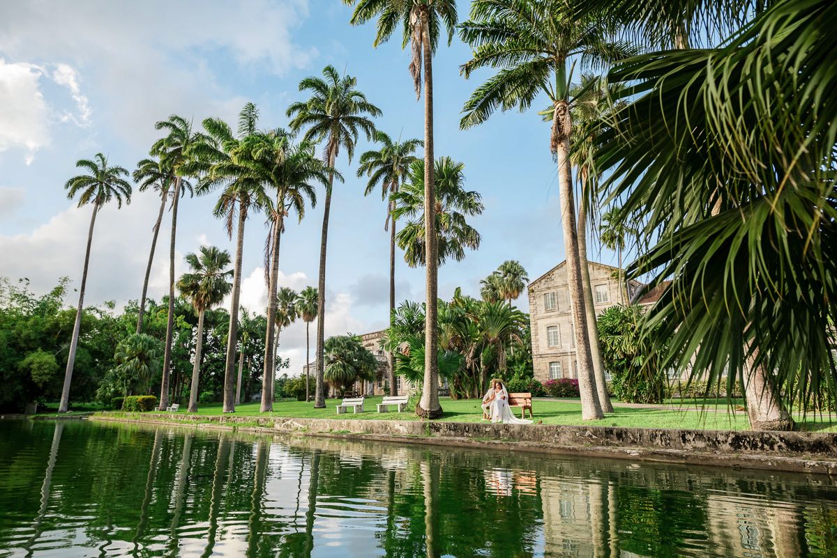 Tropical palm trees line a serene waterway with historic buildings codrington college weddings in barbados
