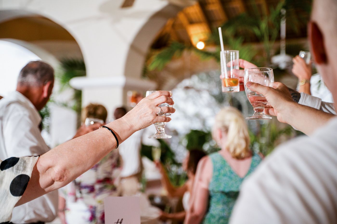 Wedding guests raise their glasses for a celebratory toast during an elegant reception.