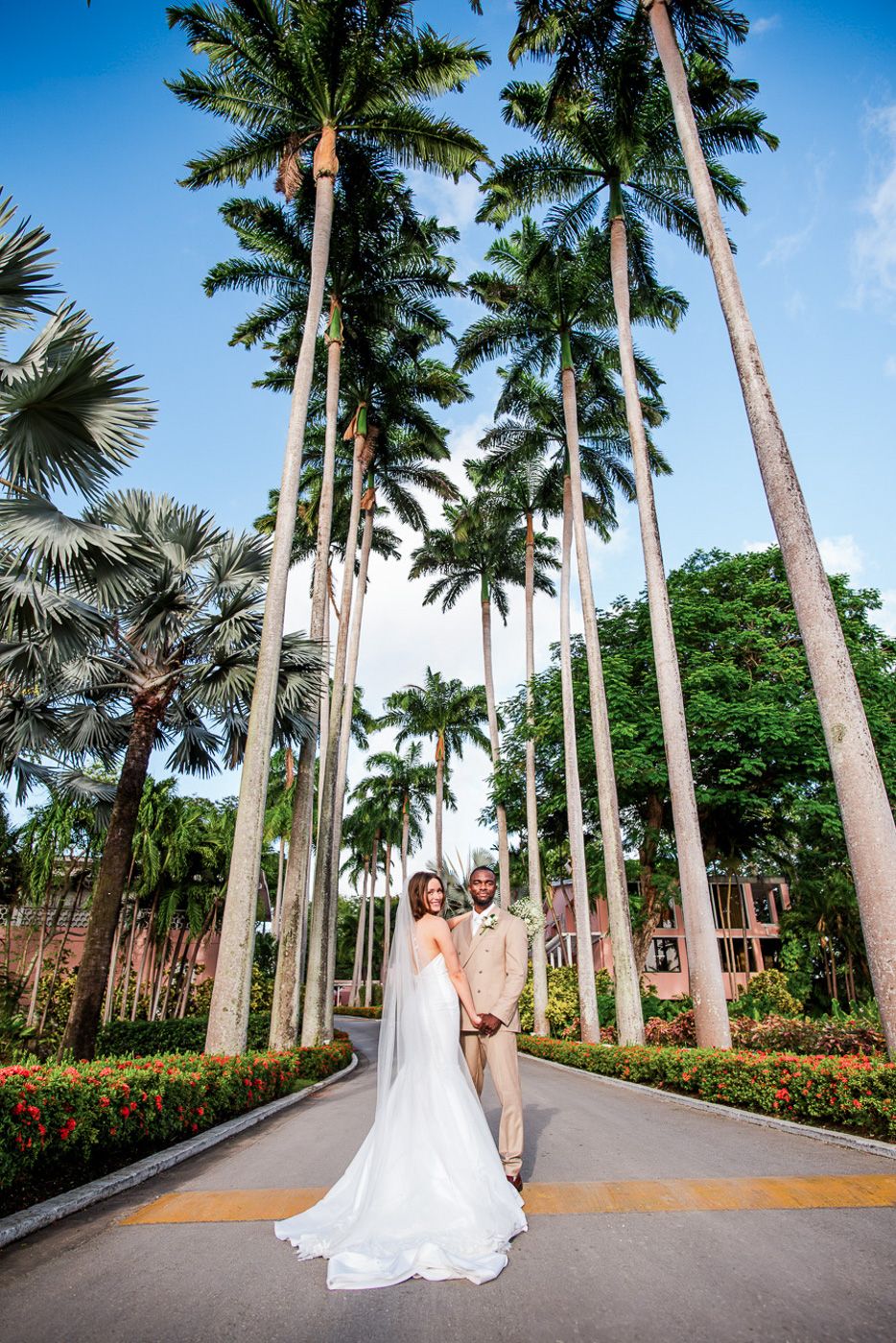 Dramatic wedding photos along a palm tree-lined driveway under bright blue sky.