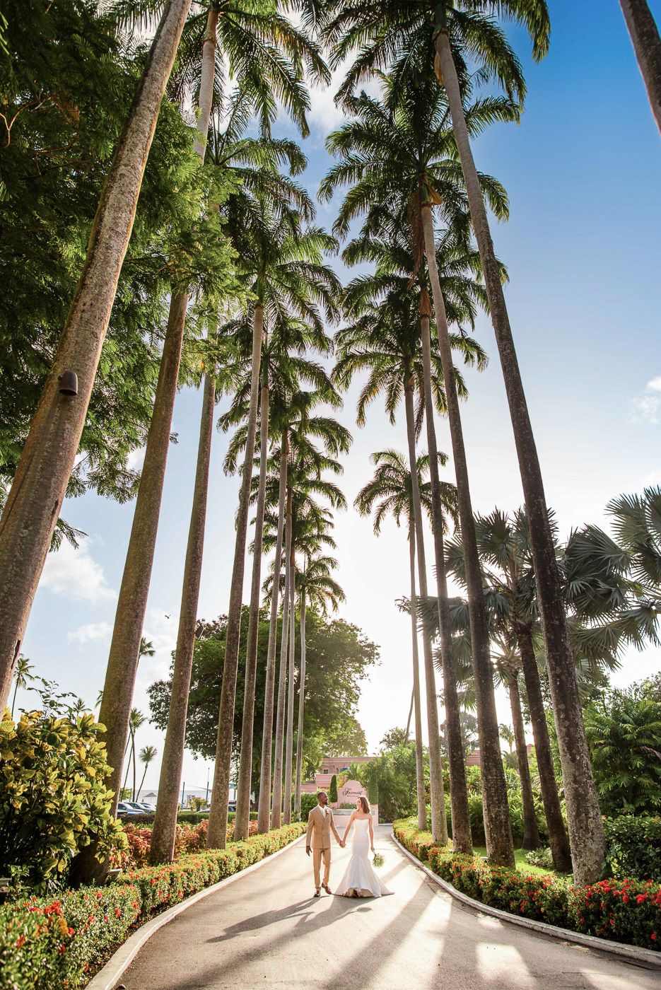 A palm tree-lined pathway in a tropical garden setting with dappled sunlight streaming through the fronds.