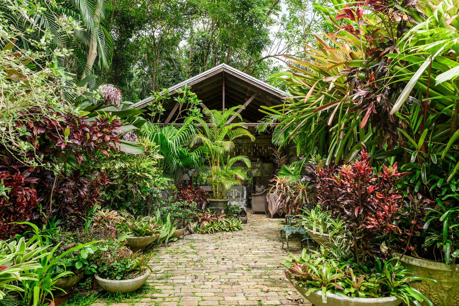 A winding stone pathway leads through a lush tropical garden filled with colorful foliage and flowering plants.