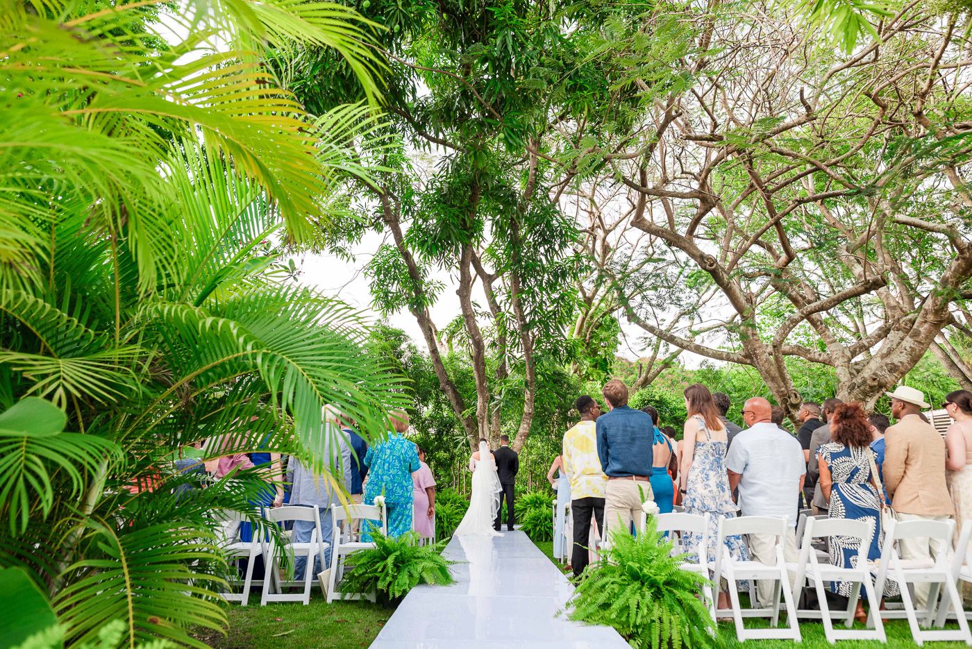 Wedding ceremony setup with white chairs arranged along a pathway framed by tropical plants.