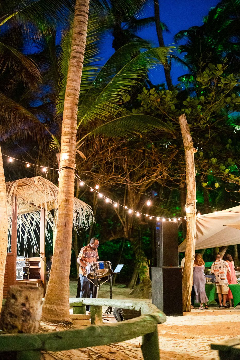 Musician plays steel drum at tropical beach party with string lights and palm trees at night.