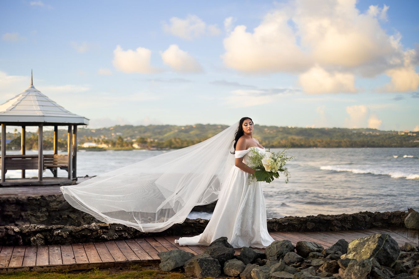 Seaside wedding photos featuring dramatic veil shots and coastal landscape views.