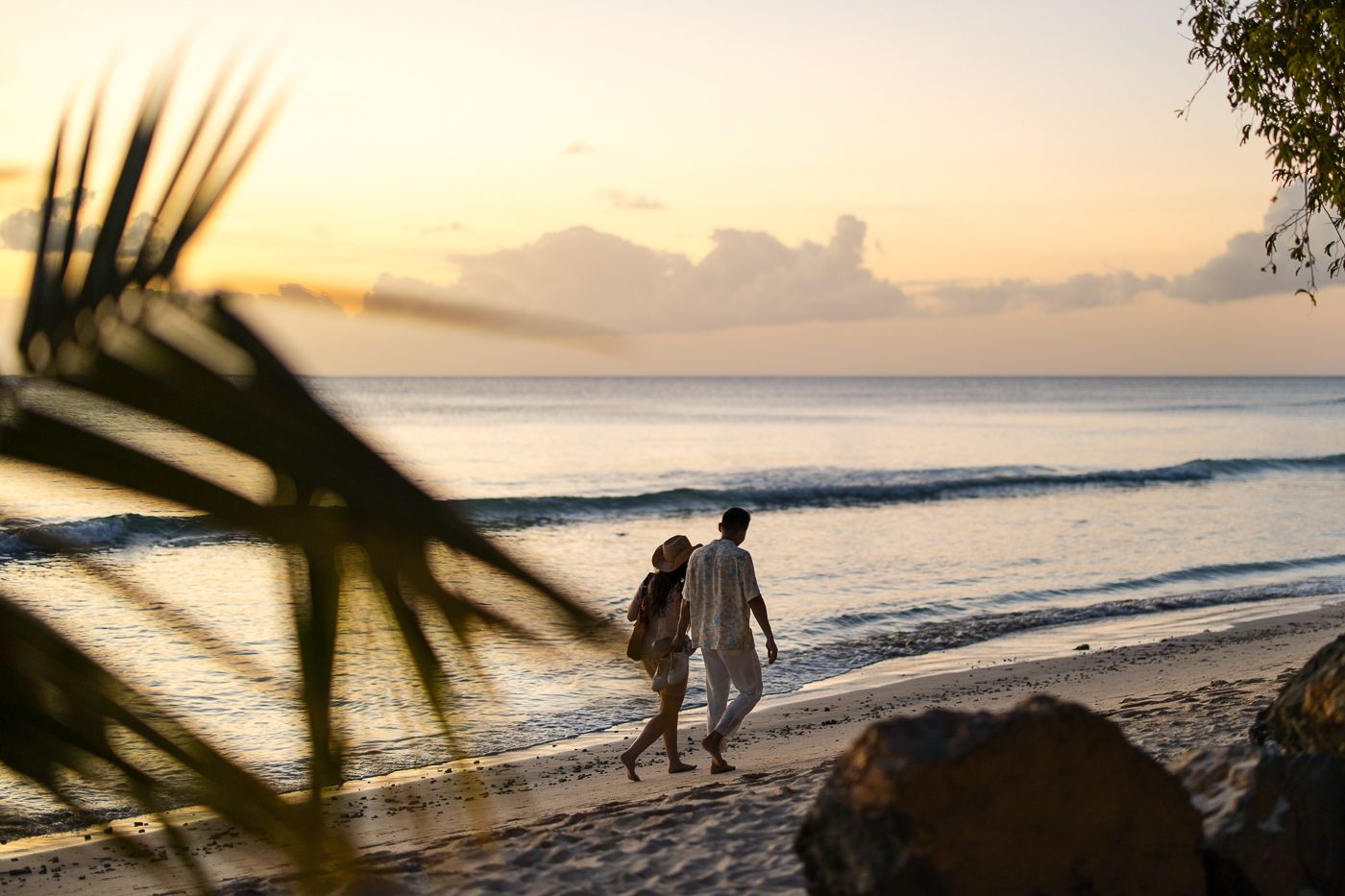 Silhouetted palm fronds frame a gorgeous tropical beach sunset.