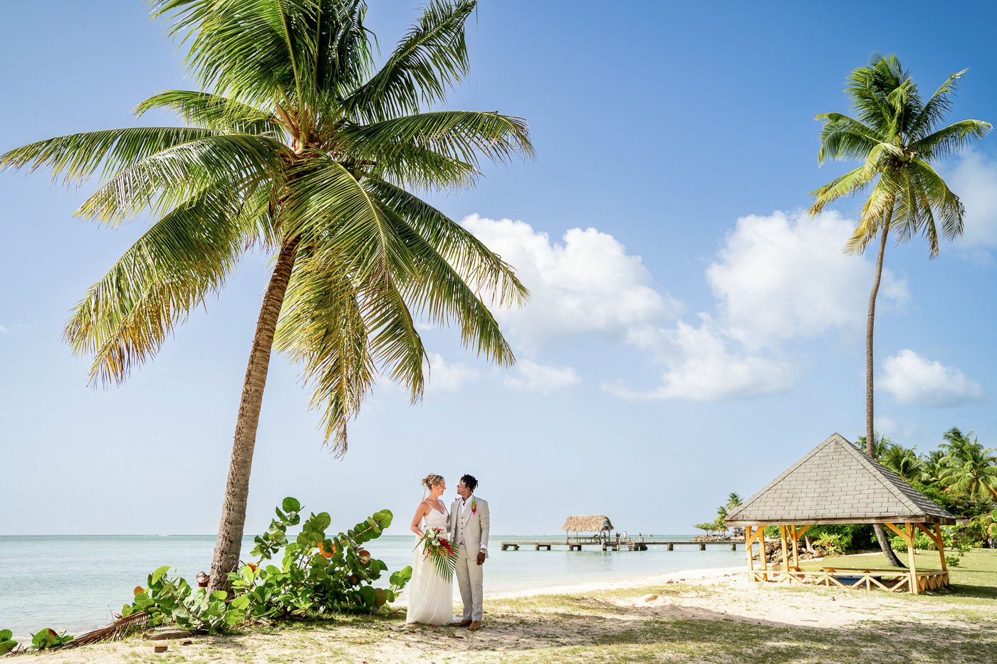 Palm trees line a pristine beach with crystal clear waters in paradise.