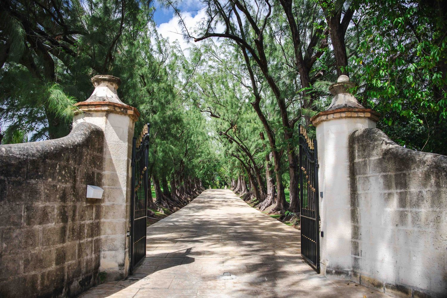 Tree-lined path with stone walls creates a serene walkway through a lush garden setting.