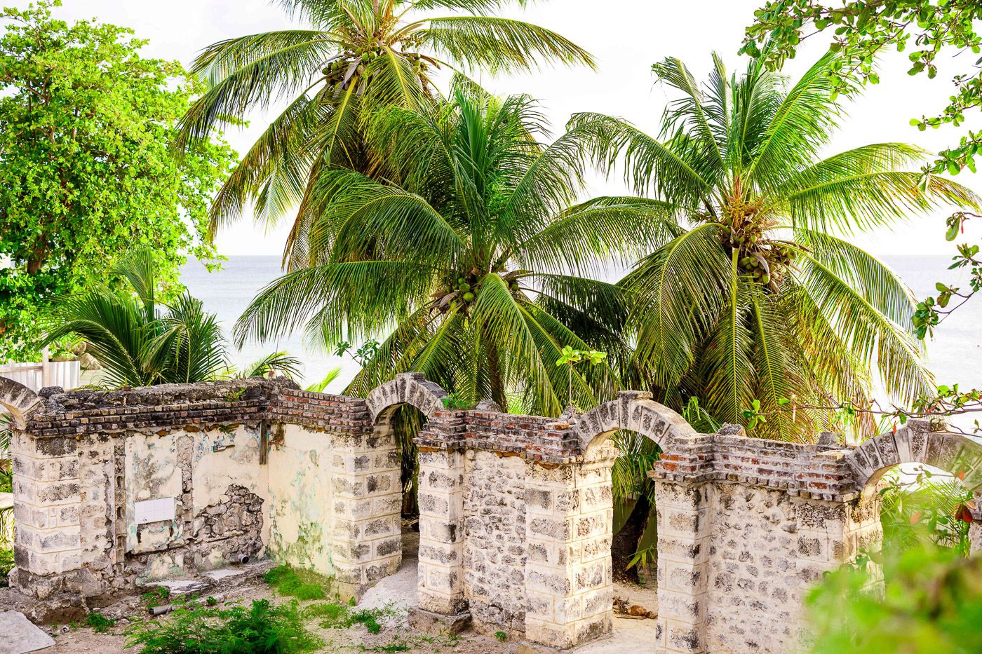 Tropical palm trees frame ancient stone ruins under bright sunlight.