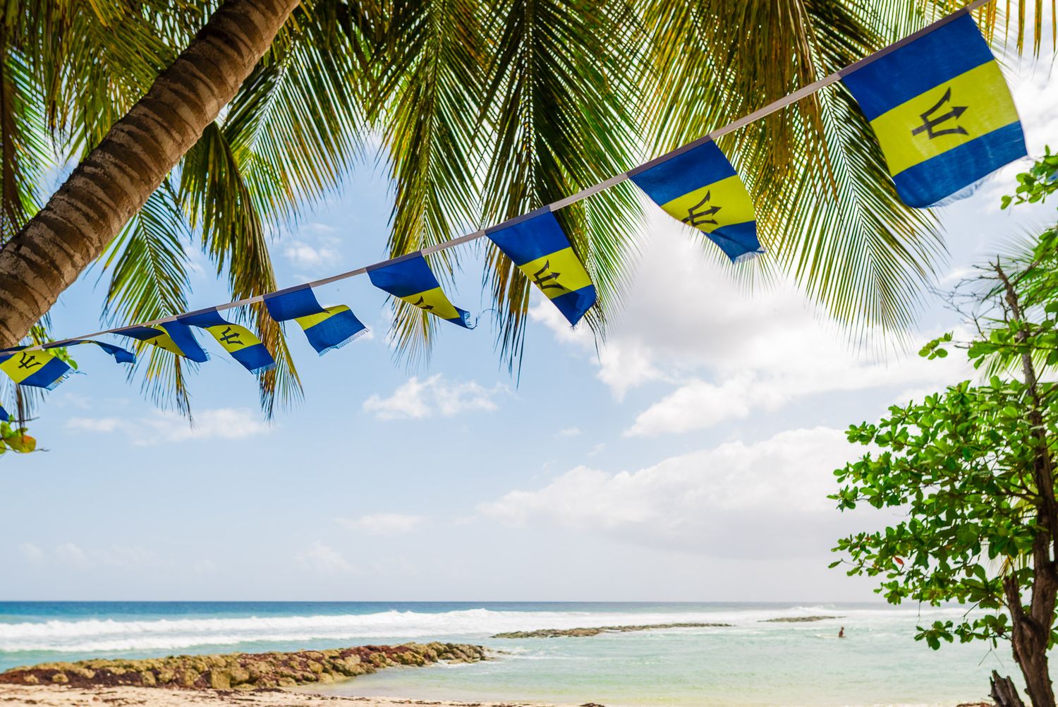 Palm trees sway over a pristine tropical beach with turquoise waters and white sand stretching along the coastline at sugar bay in barbados