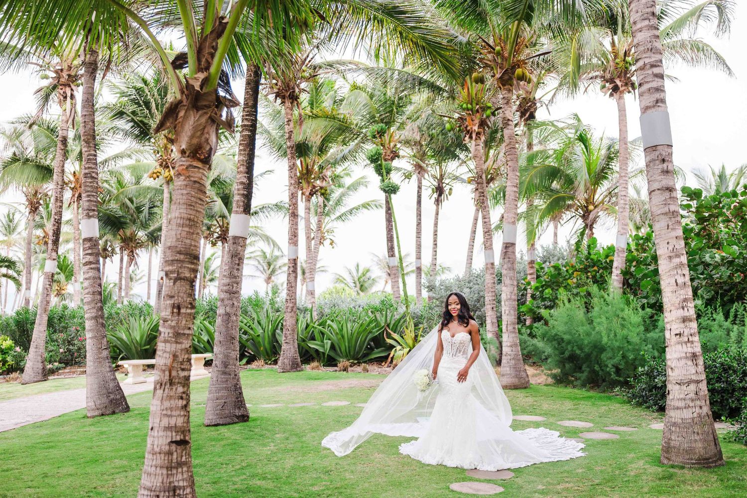 Palm tree lined pathway with tropical landscaping at a destination wedding venue.