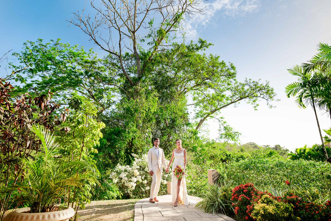 Panoramic view of a tropical garden setting with palm trees and blue sky.