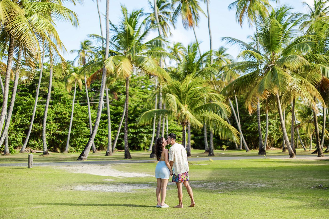 Palm tree lined path in a tropical paradise with lush green landscaping.