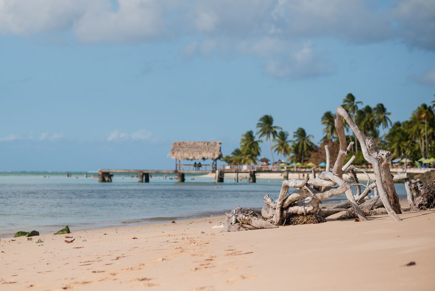 Panoramic view of a tropical beach with palm trees and wooden structures along the shoreline.