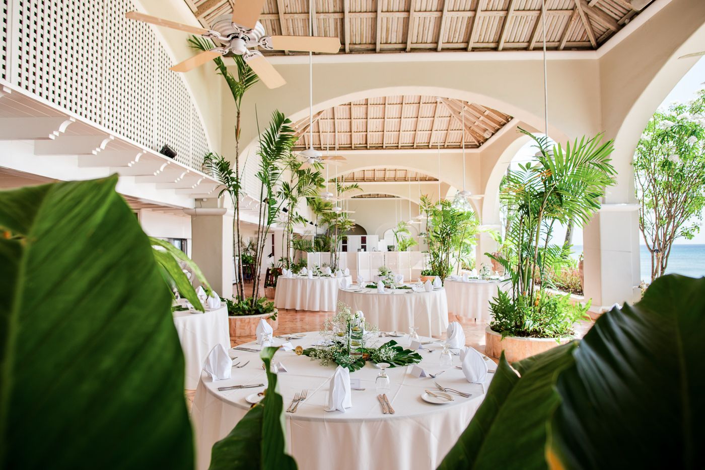 Elegant reception venue with high vaulted ceilings, white tables, and tropical plants throughout.