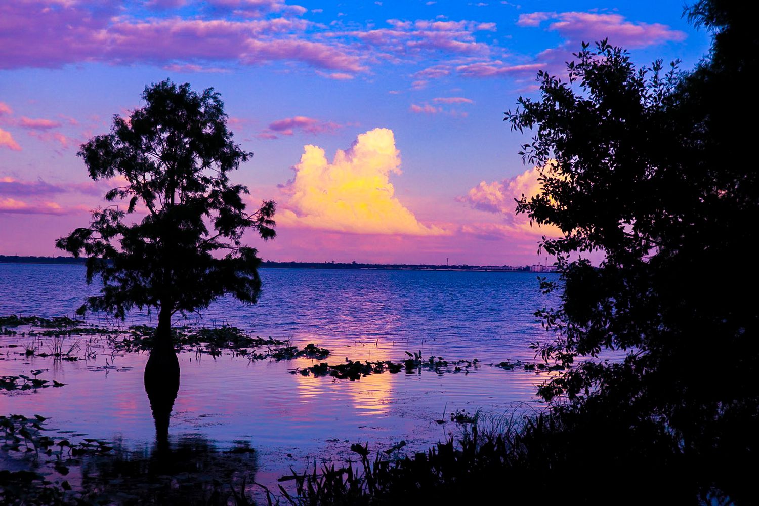 nature