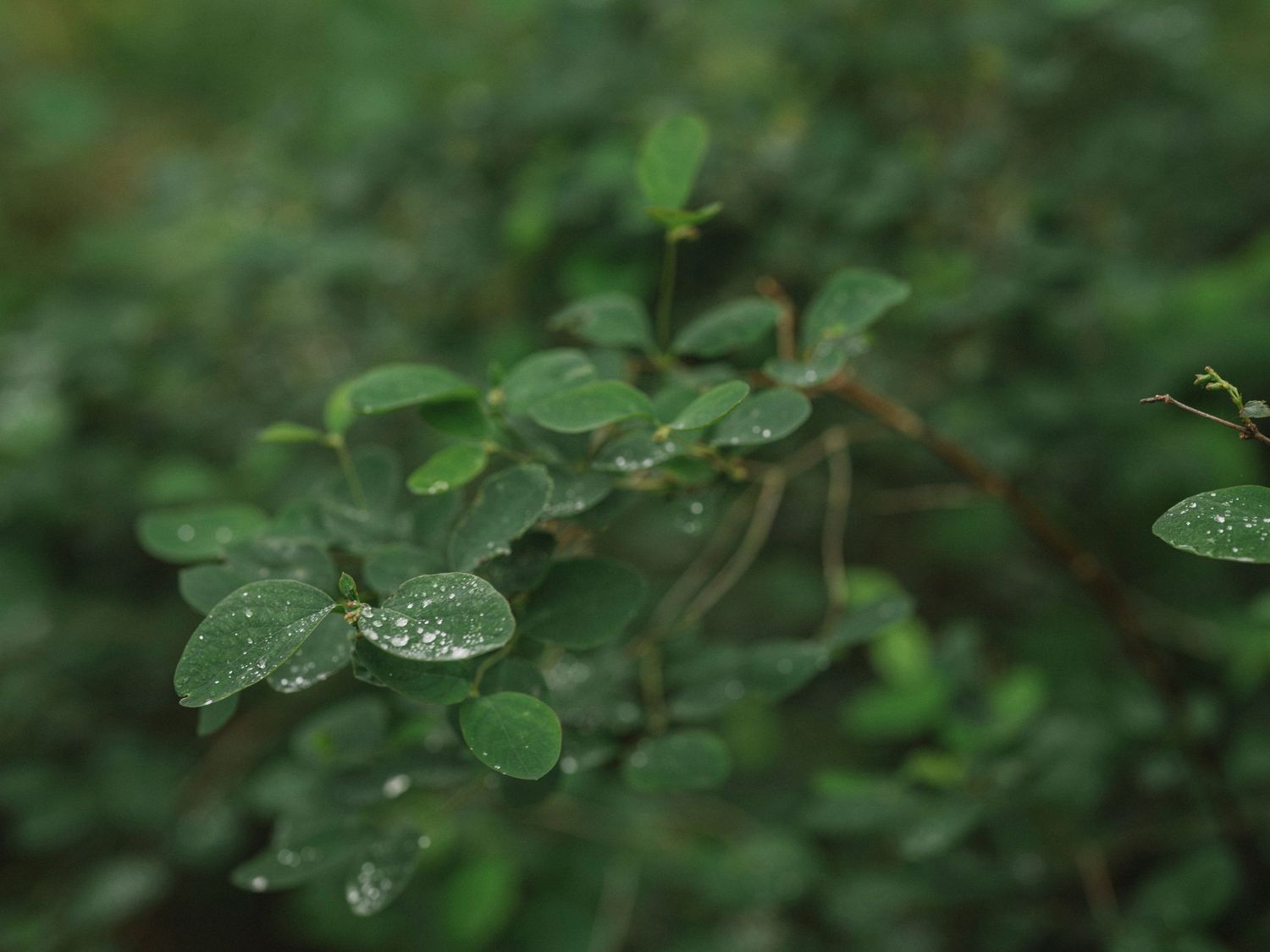 subtle wedding details captured simply and honestly