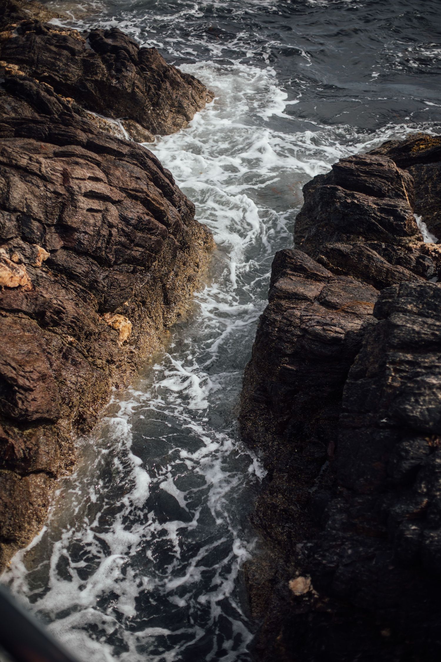 intimate wedding set against Scottish mountains