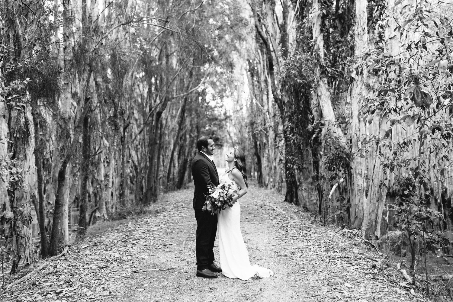 Black and white photo of tree-lined path in natural setting.