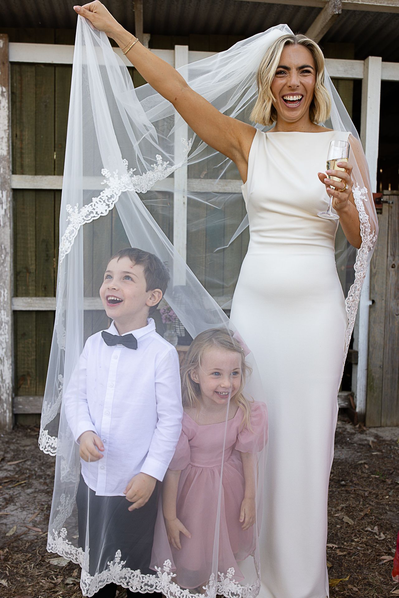 Wedding party celebrates with bride in white dress and veil.