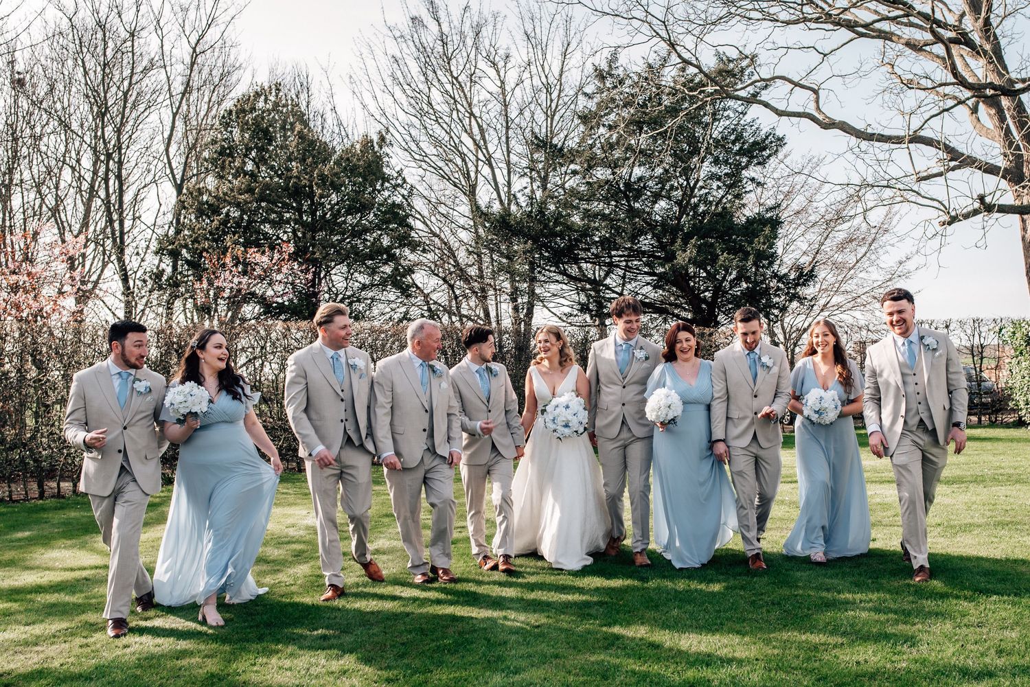 Wedding party in gray suits and light blue gowns walking on green lawn with blooming trees in spring.