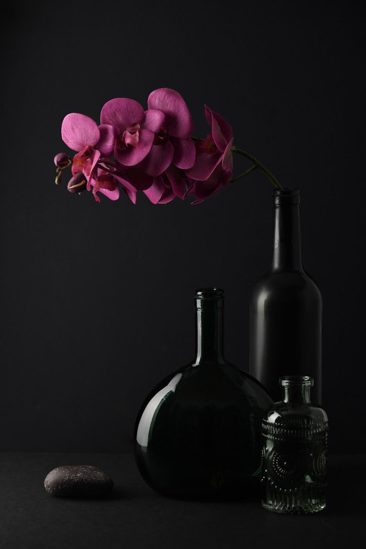 Dark moody still life with pink orchid flowers in black bottles against black background.