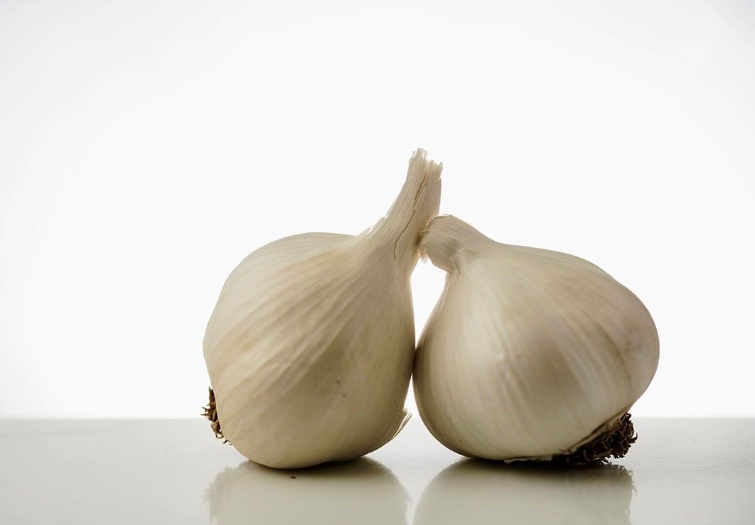 Two whole garlic bulbs on white background with soft shadows.