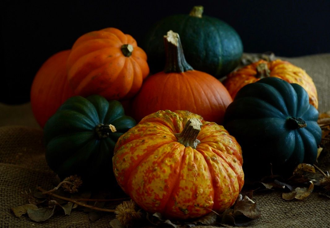 Rustic display of orange and blue-green heirloom pumpkins in dramatic lighting.