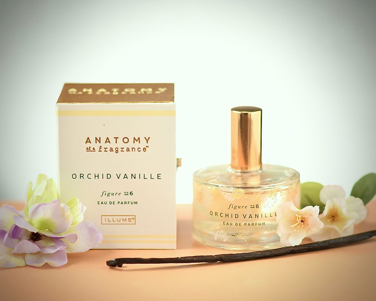 Vanilla orchid perfume bottles and packaging arranged with vanilla beans on light background.