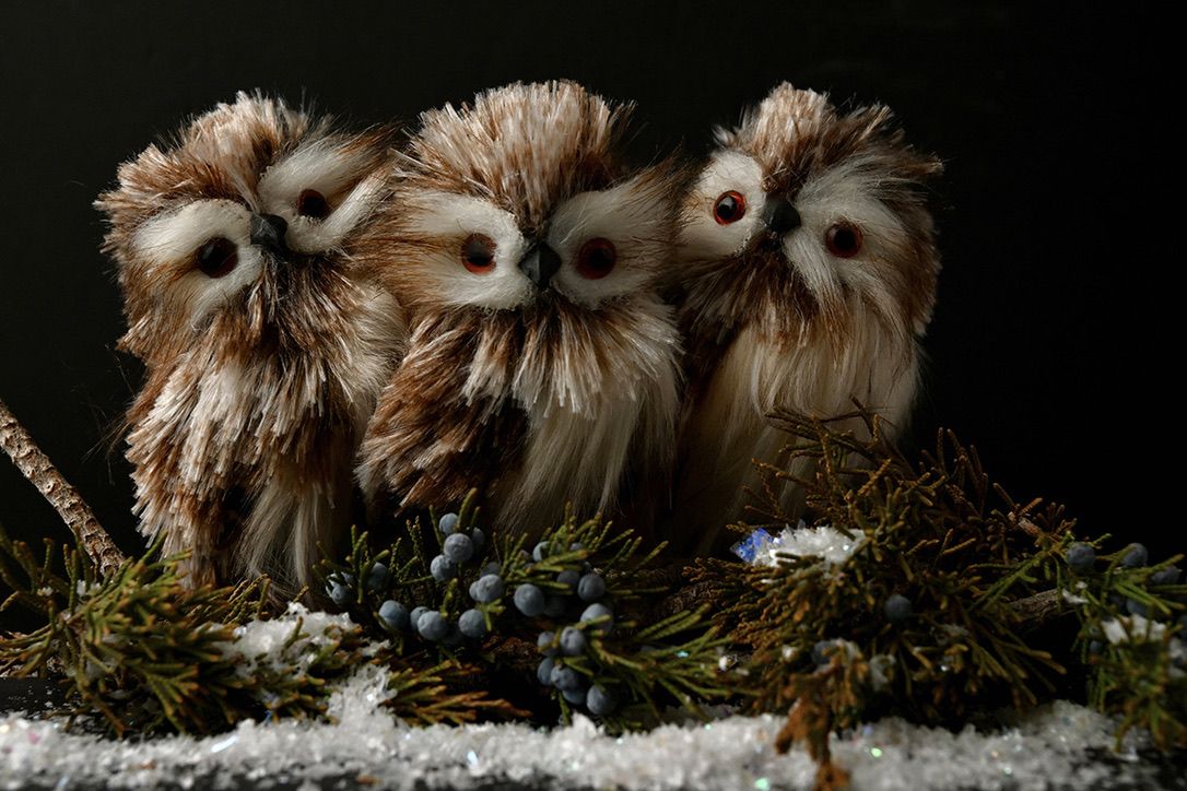 Decorative owl figurines arranged in a row with snow and greenery against dark background.