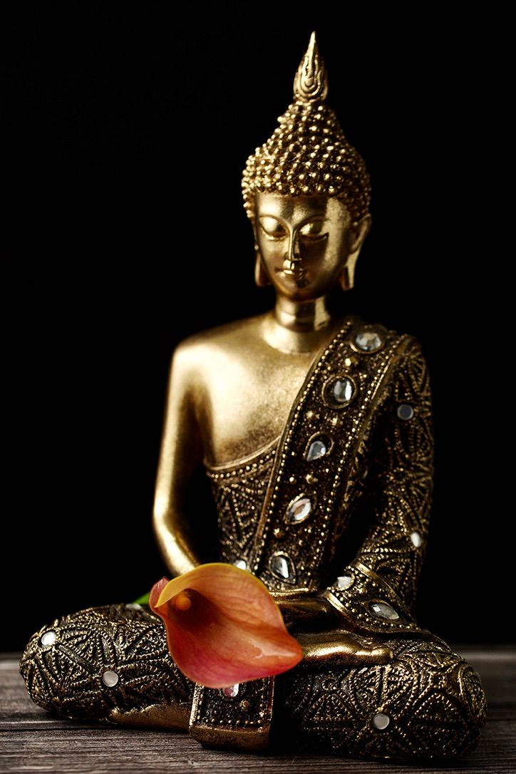 Golden Buddha statues with jeweled robes hold red calla lily flowers against dark backgrounds in artistic composition.