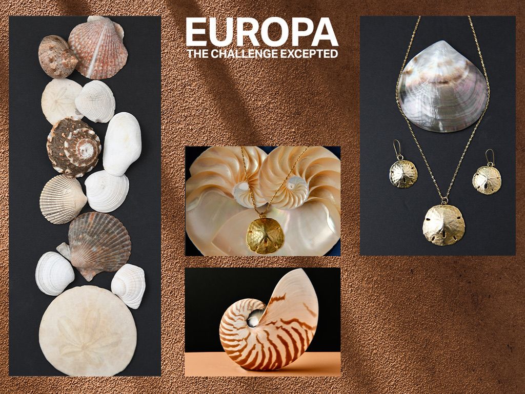 Collection of seashell and nautical themed jewelry pieces arranged in a grid pattern.