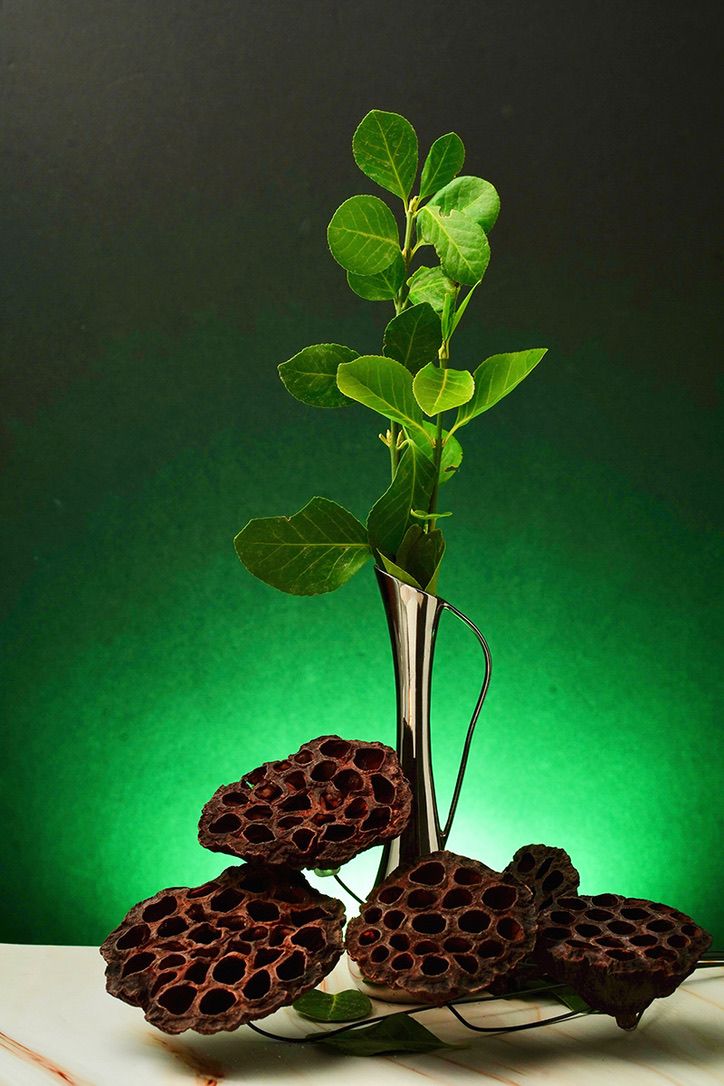 Green-lit still life of lotus pods with fresh plant stems emerging from metallic vases.