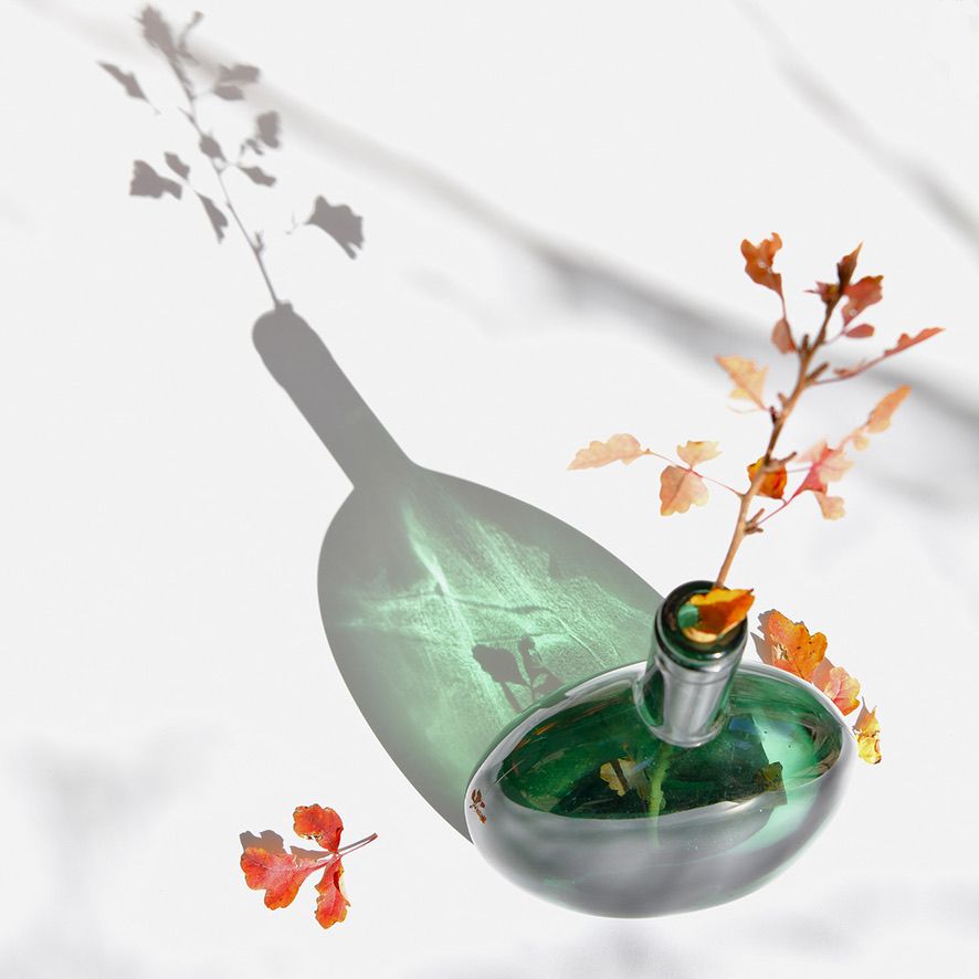 Green glass bottle with orange autumn leaves casting artistic shadows on white surface.