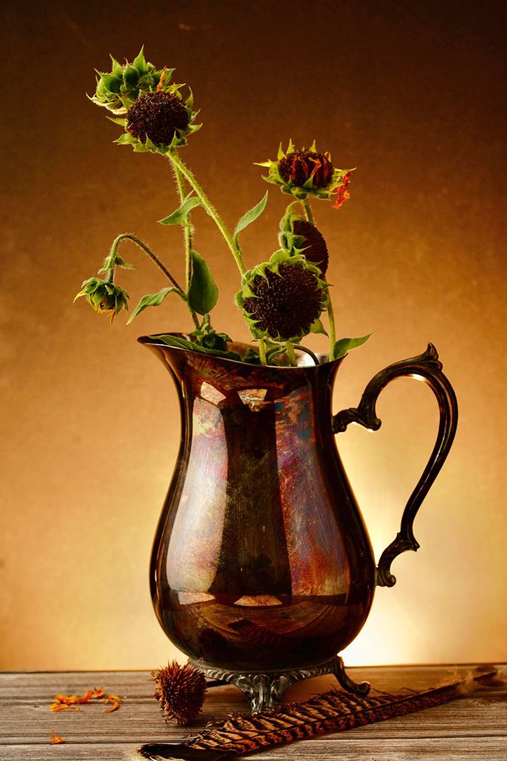 Vintage copper teapot with thistle flowers photographed in warm lighting.