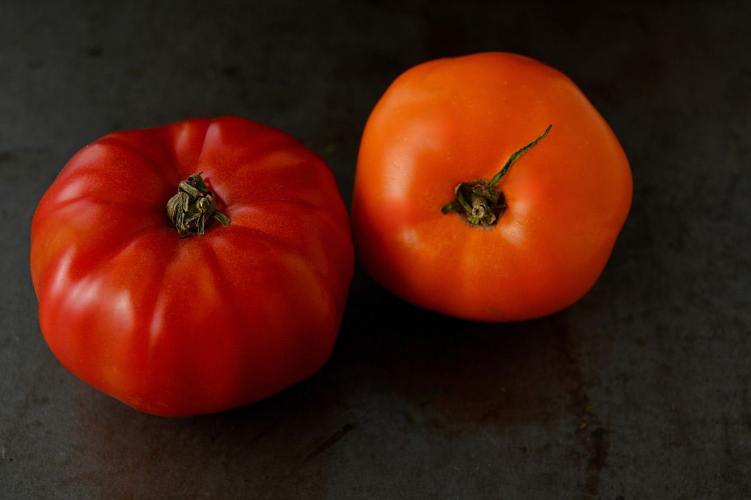 Two large heirloom tomatoes, one red and one orange, on a dark background.