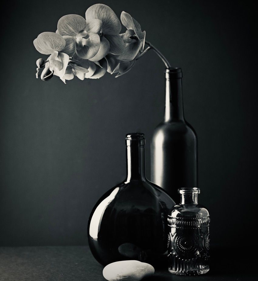 Black and white still life of orchids in vases with vintage glass bottles.
