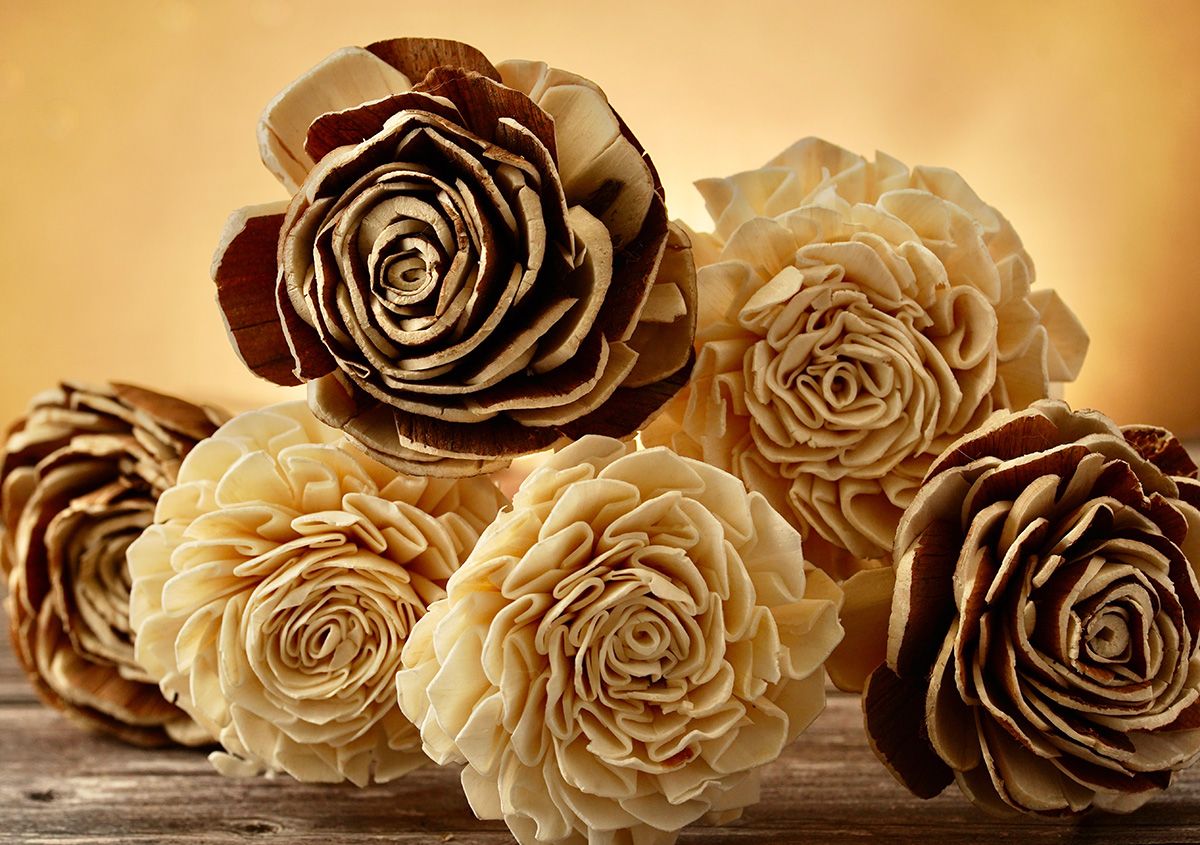Sepia toned roses in various stages of bloom arranged in a romantic vintage style composition.