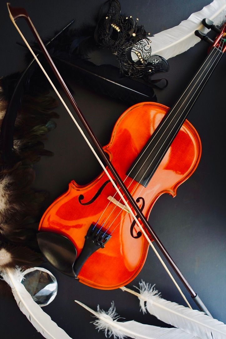 Orange violin with bow and white feathers against dark background.