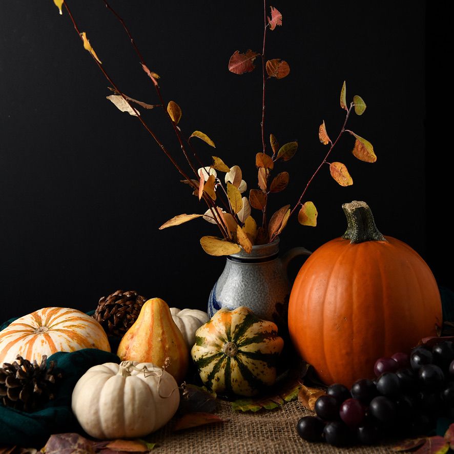 Autumn still life with assorted pumpkins, gourds and fall branches on dark background.