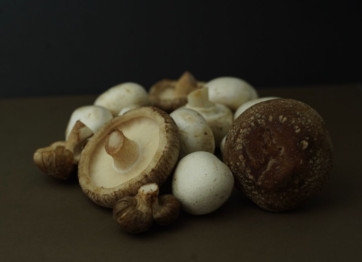 Fresh whole and sliced mushrooms arranged on dark surface.