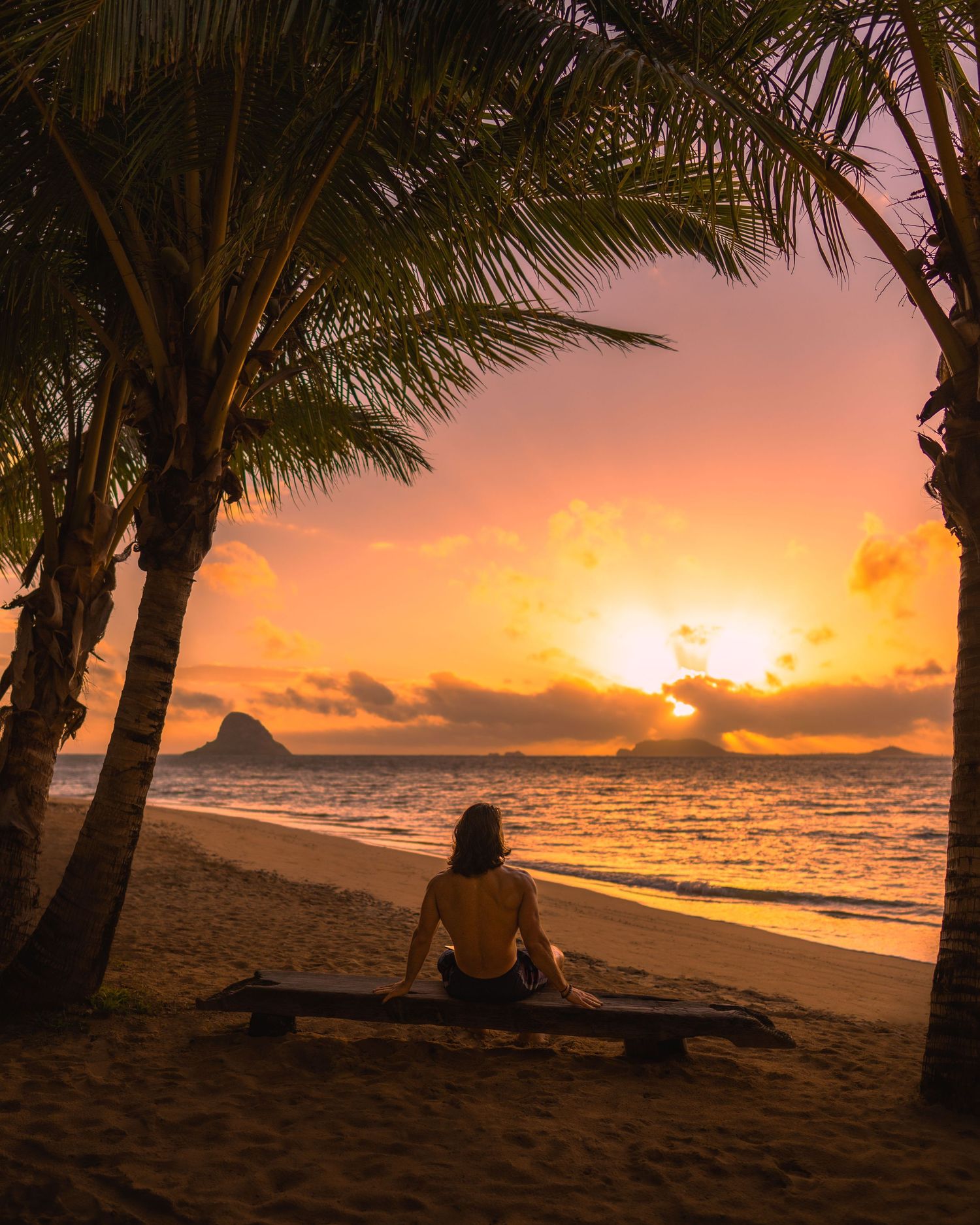 Silhouettes of palm trees frame a golden sunset over a tropical beach with figures relaxing on the sand.